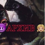 Архив