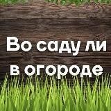 Переход на Дача или Во саду ли в огороде