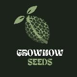 GrowNow Seeds | Ссылки