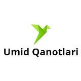 Umid qanotlari