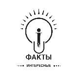 Интересные факты 💡