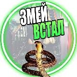 ЗМЕЙ ВСТАЛ🐍