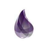 Elixir Indonesia 🇮🇩