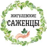 Питомник растений Жигулевские саженцы с. Александровка