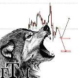 ForexTrustMarket