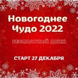 Новогоднее Чудо 2022