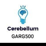 Cerebellum academy Notes