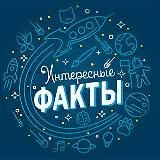 Интересные факты