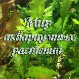 Мир аквариумных растений