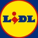 Lidl Italia volantino ( Parkside Silvercrest ...)