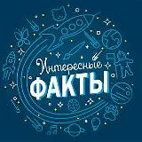 💡Факты💡