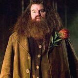 Rubeus Hagrid