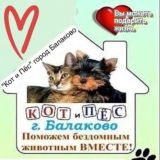 Кот и Пёс город Балаково