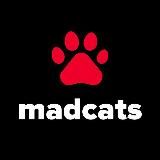 Котики — MadCats.ru