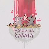СПЛЕТНИЦЫ
