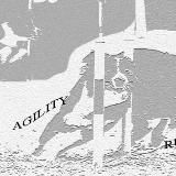 AGILITY RUS