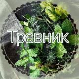 🌱Травник_фитотерапия🪷