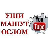 УШИ МАШУТ ОСЛОМ