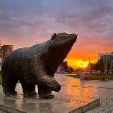 в Перми не любят