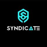 « SYNDICATE » Кроссовки