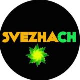 SVEZHACH😍🔥