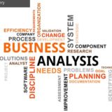 Business Systems Analysts Worldwide