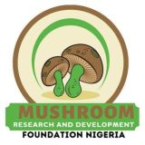 MUSHROOM RESEARCH & DEVELOPMENT FOUNDATION NIGERIA