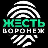 Жесть Воронеж