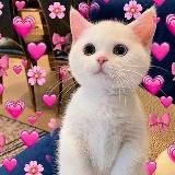 ты няшка♡