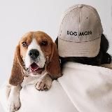 axel.beagle