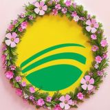 zelenyjostrov.ru