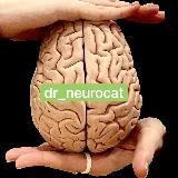 NEUROCAT: заметки нейрофизиолога