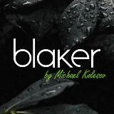 Blaker by Michael Kolesov