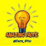 Amazing Facts 💡4U