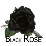 Black Rose Official🌹🌹