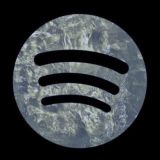 Обмен Плейлистами Spotify