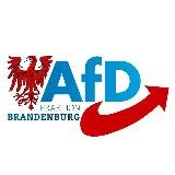 AfD-Fraktion BB