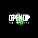 OPENUP models channel