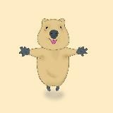 Quokka Original