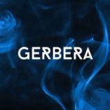 GERBERA MAGAZINE | Журнал GERBERA