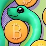 Crypto Snake