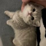 hey, i luv u
