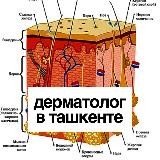 Дерматолог в Ташкенте