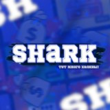 🦈 SHARK BET 🦈