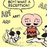 Finding Arf