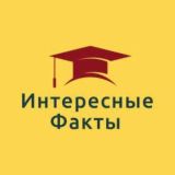 Интересные Факты