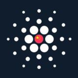 Cardano China Official🇨🇳