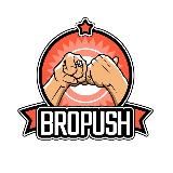 BroPush — рекламная push-сеть с конвертящим трафиком