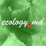 Ecology.md - живое измерение, родовые поместья
