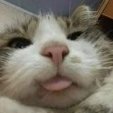 йонв бендˢᵉᵏᵗᵒʳ